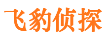 六合侦探公司